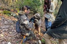 Truffle Hunting in Chianti, pasta class and lunch 