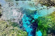 Blue Eye and Gjirokaster, Half Day Nature & Historical Tour