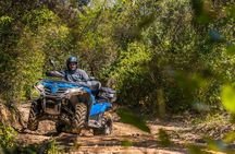 Quad excursion in the woods with visit to the cellar and tasting