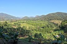 Elephant care program at Chiangmai Elephant Care