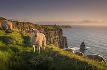 Dublin to Cliffs of Moher, Ennis and Historic Limerick Day Tour