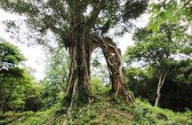 "Killing Fields & Landmine Museum: Private Guided Tour 