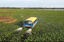 90 Minute Pontoon Cruise in Florida