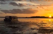90 Minute Florida Everglades Wildlife Boat Tour
