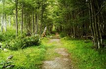 Emerald Lagoon Private Trekking Tour