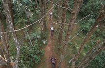 8-Days Private Enduro Mountain Bike Tour in Colombia