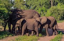 Safari Game Drive: Zambezi National Park *unique-limited-must do*