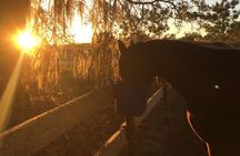 Champagne and Charcuterie Sunset Trail Ride