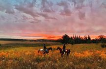 Champagne and Charcuterie Sunset Trail Ride