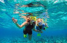 Underwater Sculpture Park Snorkel Adventure 