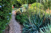 Anima Garden Experience: Tickets And Hassle-Free Transfers