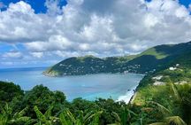 Private Beach Hopper Tour of St. Thomas (pick three beaches)