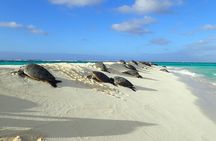 Private Circle Island Tour Across Oahu Paradise
