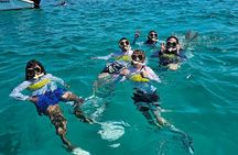 Private All-Inclusive Boat 22ft Boat Guided Snorkeling