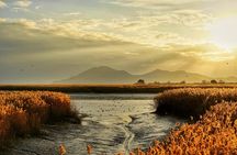 Discover Western Korea in 4days: All-Inclusive Experience