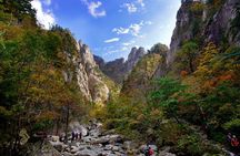 Discover Round Korea in 7days: All-Inclusive Experience