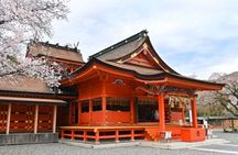 Shiraito Falls and Mt Fuji World Heritage Centre /6VG(３stops)