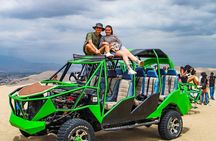Paracas Tour with Ballestas Islands, Ica and Huacachina with Sunset