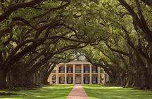 Full Day Plantation -N- Swamp Tour in New Orleans