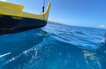 Hawaiian Sail and Snorkel in Kailua-Kona, Hawaii