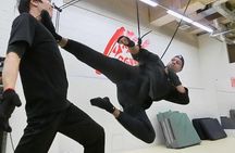 Ninja Wire Action Experience
