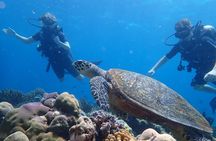 Scuba Diving Menjangan Island