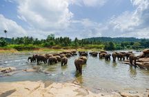 Full Day Serenity Adventure in Tarangire National Park