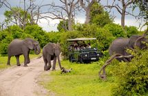Full Day Serenity Adventure in Tarangire National Park