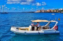 Eco Tour in the South of Tenerife with Snorkeling and Bathing Included