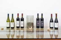 Vineyard experience in Pozzuoli