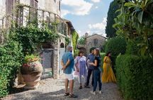 Small group Chianti Classico & Brunello wine region from Siena
