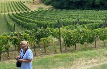 Tuscan Wine Tour in Pisa by van 