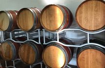 Vineyard experience in Pozzuoli