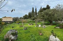 7 Hour Shared 4x4 Off Road Experience in Zakynthos
