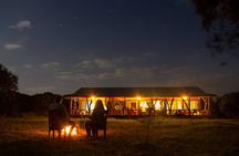 6 Day Great Wildebeest Migration Across the Mara River