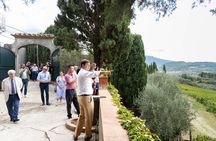 Chianti Rufina Lunch and Wine Tasting Experience