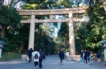 Tokyo Harajuku Meiji Shrine 1 Hour Explanation Tour