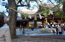 Tokyo Harajuku Meiji Shrine 1 Hour Explanation Tour