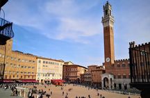 San Gimignano + Lunch&Wine tasting by van from Lucca or Pisa