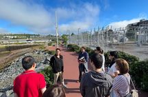 Indigenous Storytelling Walk on Harbour Passage