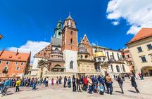 Wawel Castle and Cathedral with St Mary Basilica tour