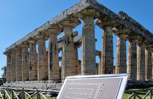 Half Day Private Tour to the Temples of Paestum