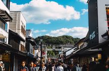 (Family Recommended!) Private Fukuoka Tour by Local Tour Guide