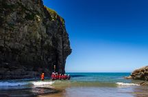 Coasteering Adventures in Bossiney Cove, Bude, and Cornwall