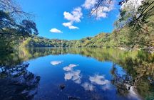 Colima Volcano Cultural Tour: Coffee Plantation, Hacienda and Comala Magic Town