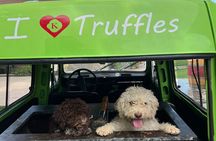 Private Truffle Hunting with Cooking Session