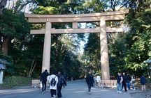 Tokyo: Harajuku From Meiji shrine to Shibuya Crossing