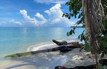 Hike Adventure in Cahuita National Park 