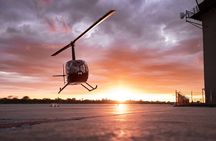  Private Downtown Detroit Helicopter Ride
