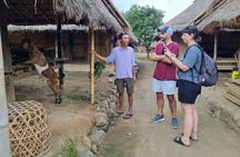 Lombok Private Customize Full Day Trip